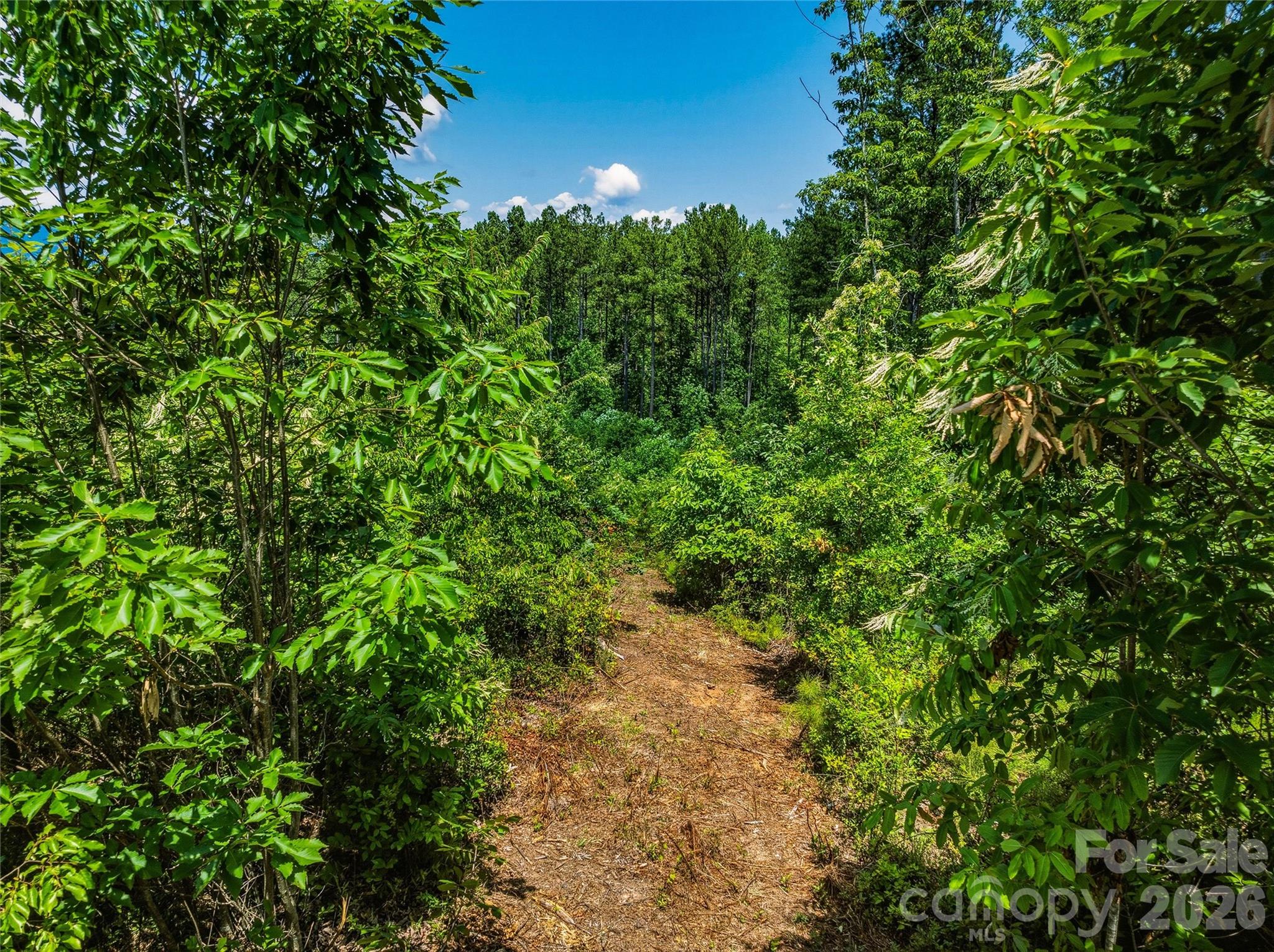 6783 Peniel Road Tryon, NC 28782 - Photo 20 of 36