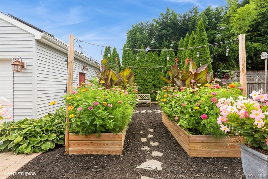10 Stuart Avenue Babylon, NY 11702 - Photo 6 of 32 a view of a garden with flowers