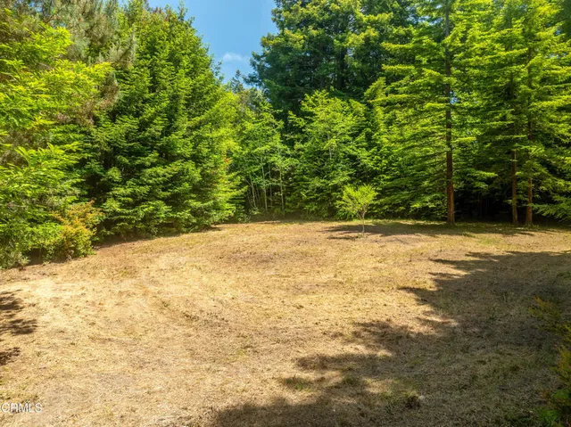 a view of a yard with a trees