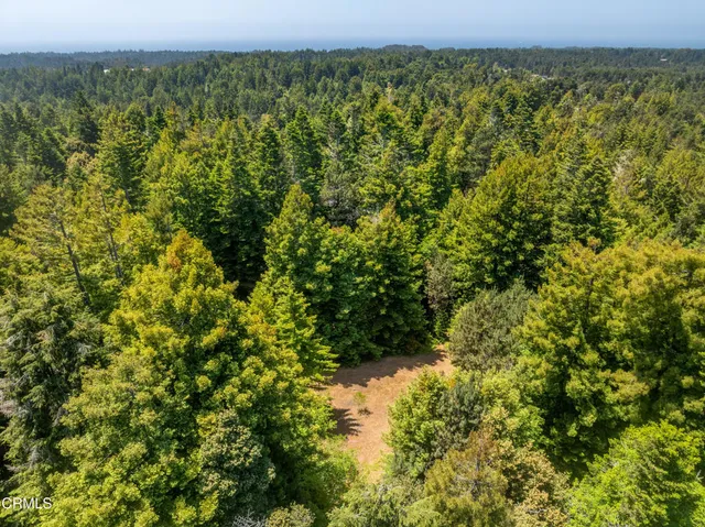 a view of a yard with an outdoor space