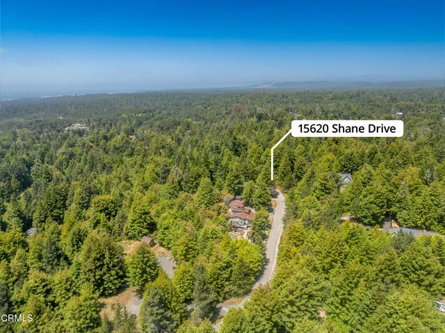 an aerial view of residential houses with outdoor space and trees