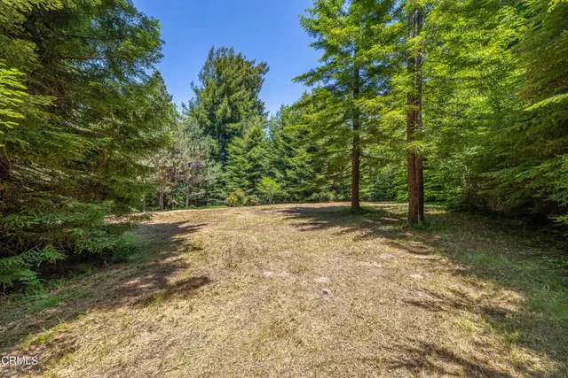 a view of backyard with green space