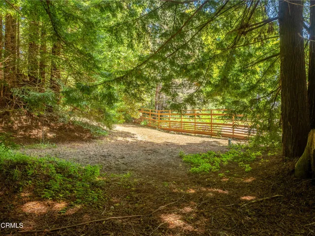 a view of yard with green space