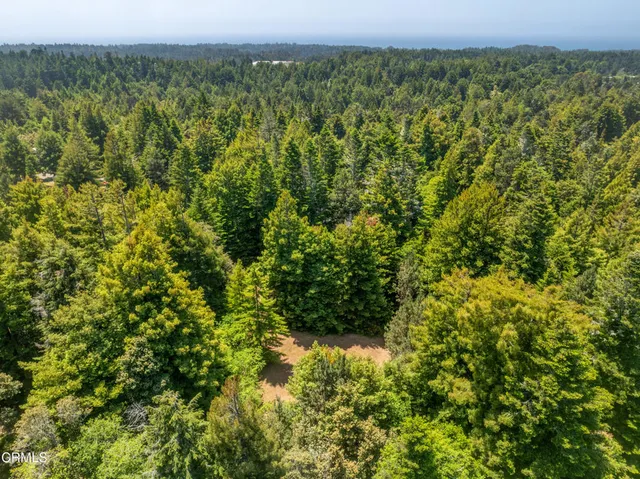 a view of a forest with an outdoor space