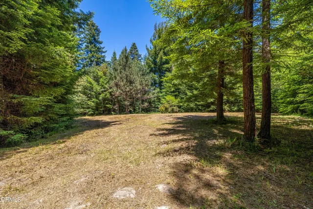 a view of outdoor space and yard