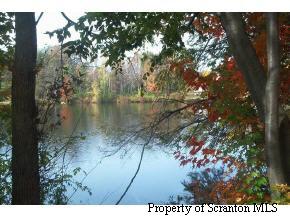 1 Rt 29 Springville Pa Springville, PA 18844 - Photo 1 of 4 a view of a tree in a yard