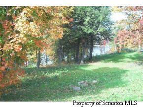 1 Rt 29 Springville Pa Springville, PA 18844 - Photo 2 of 4 a view of yard with green space
