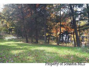 1 Rt 29 Springville Pa Springville, PA 18844 - Photo 3 of 4 a view of yard with green space