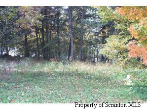 1 Rt 29 Springville Pa Springville, PA 18844 - Photo 4 of 4 a view of a yard with a tree