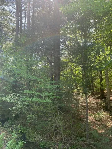 $119,900 | 0 Gibson Mountain Road, Antrim, NH 03440