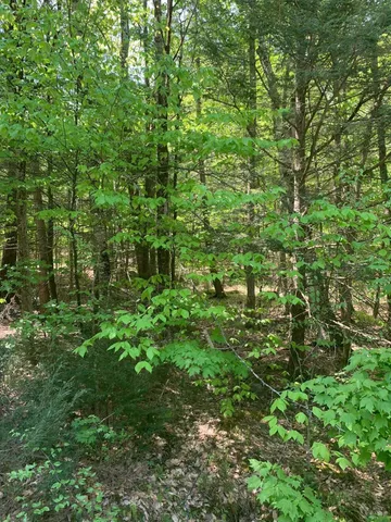 $119,900 | 0 Gibson Mountain Road, Antrim, NH 03440