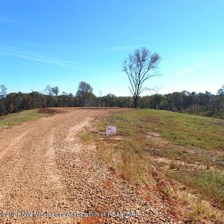 6510 Pea Ridge Road Grenada, MS 38901 - Photo 3 of 13