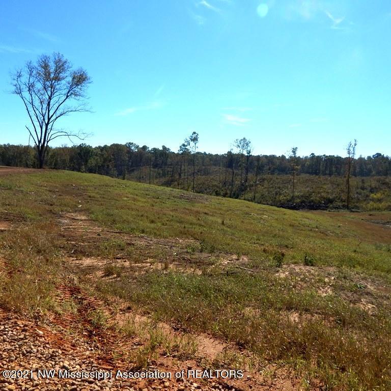 6510 Pea Ridge Road Grenada, MS 38901 - Photo 4 of 13