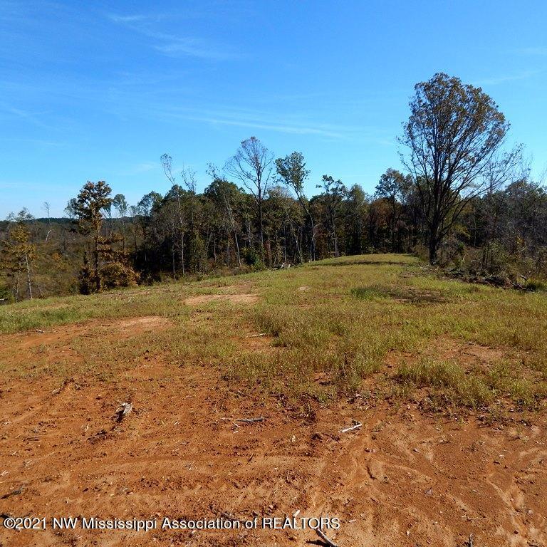 6510 Pea Ridge Road Grenada, MS 38901 - Photo 5 of 13