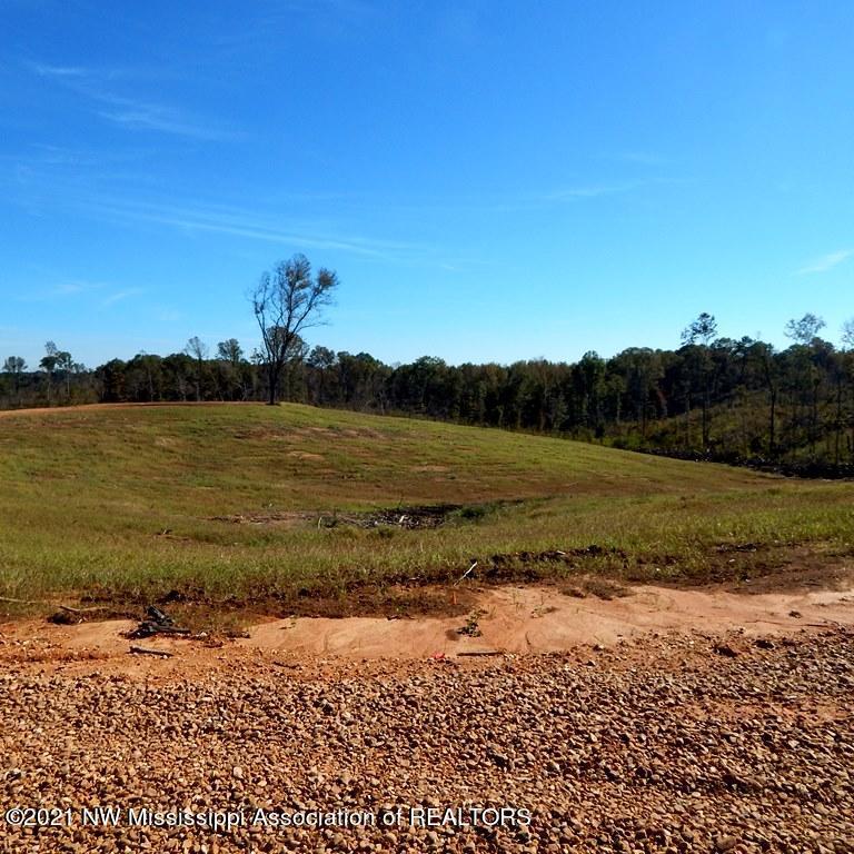 6510 Pea Ridge Road Grenada, MS 38901 - Photo 6 of 13