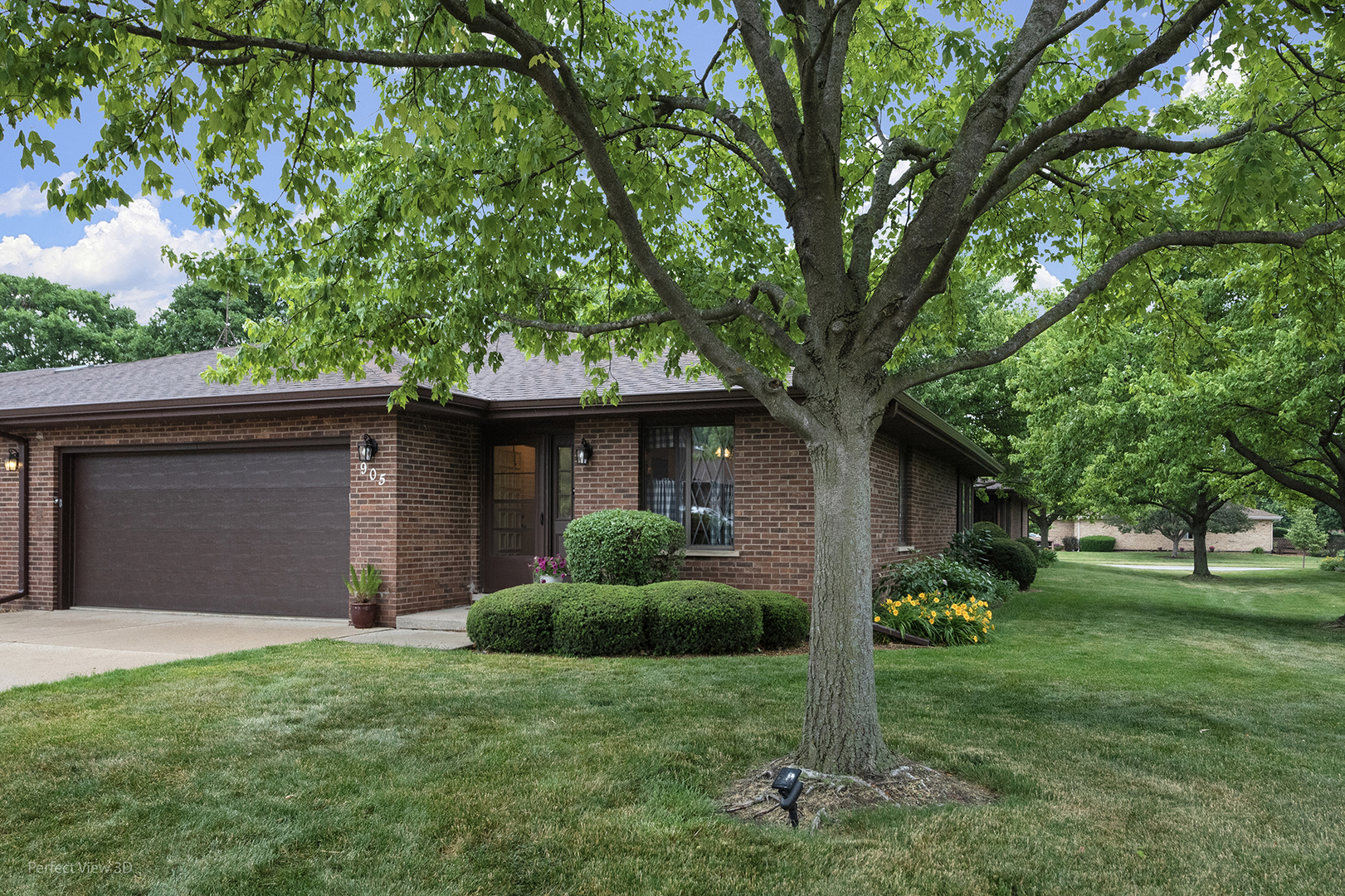 905 Shagbark Road, Unit 905 New Lenox, IL 60451 - Photo 1 of 21