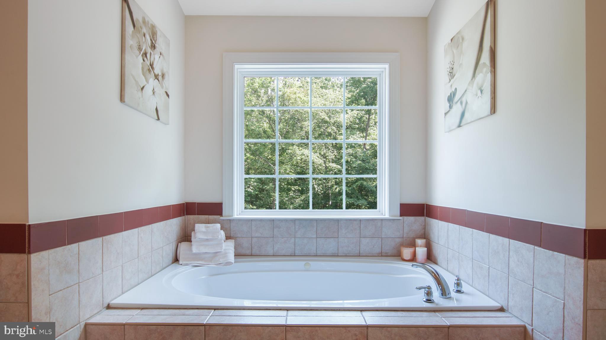 8901 Normal School Road Bowie, MD 20715 - Photo 40 of 82 LARGE EN-SUITE JETTED TU B WITH A GREAT VIEW