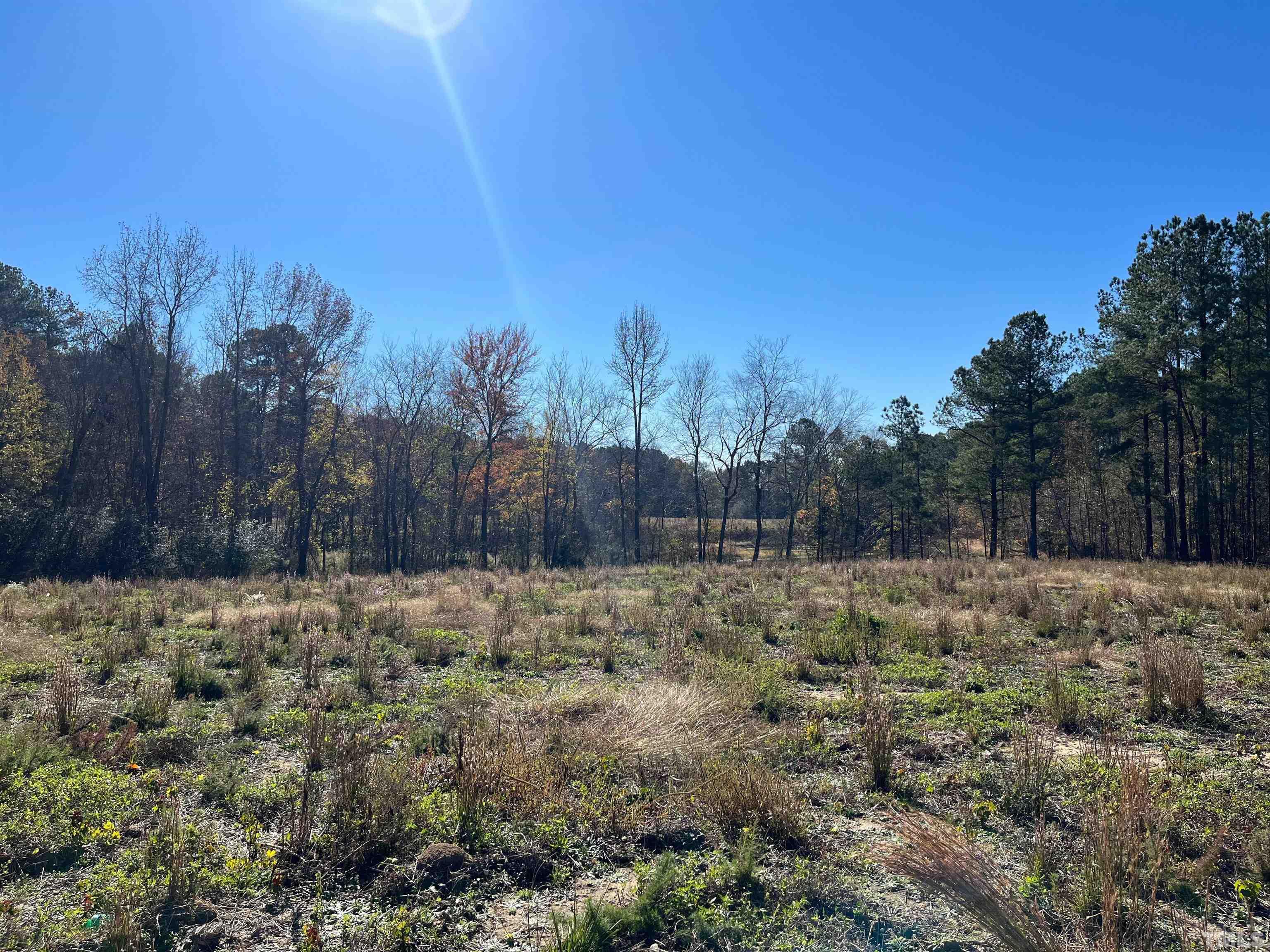 0 Earpsboro Chamblee Road Zebulon, NC 27597 - Photo 1 of 5 Gallery Image 1