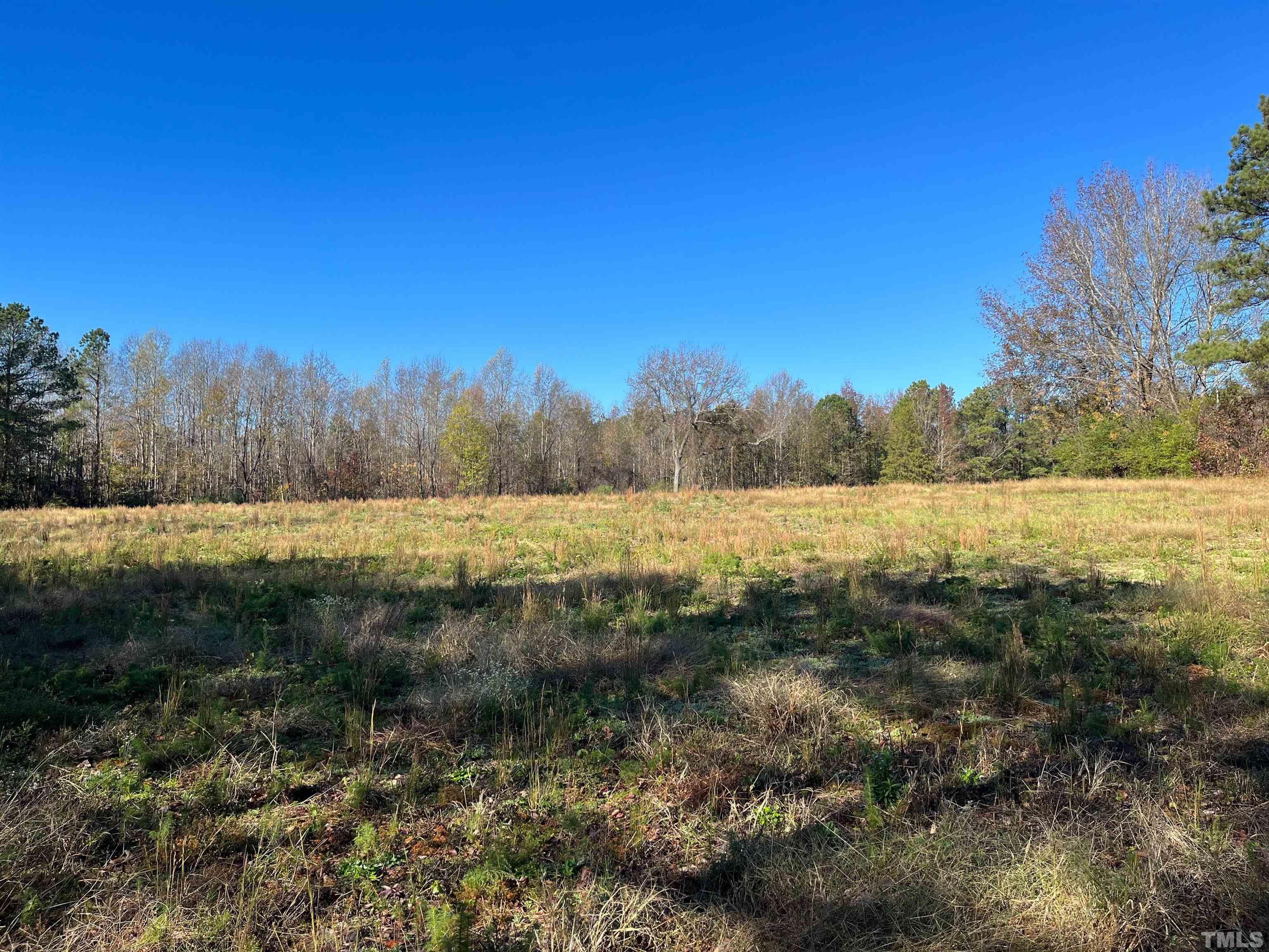 0 Earpsboro Chamblee Road Zebulon, NC 27597 - Photo 2 of 5 Gallery Image 2