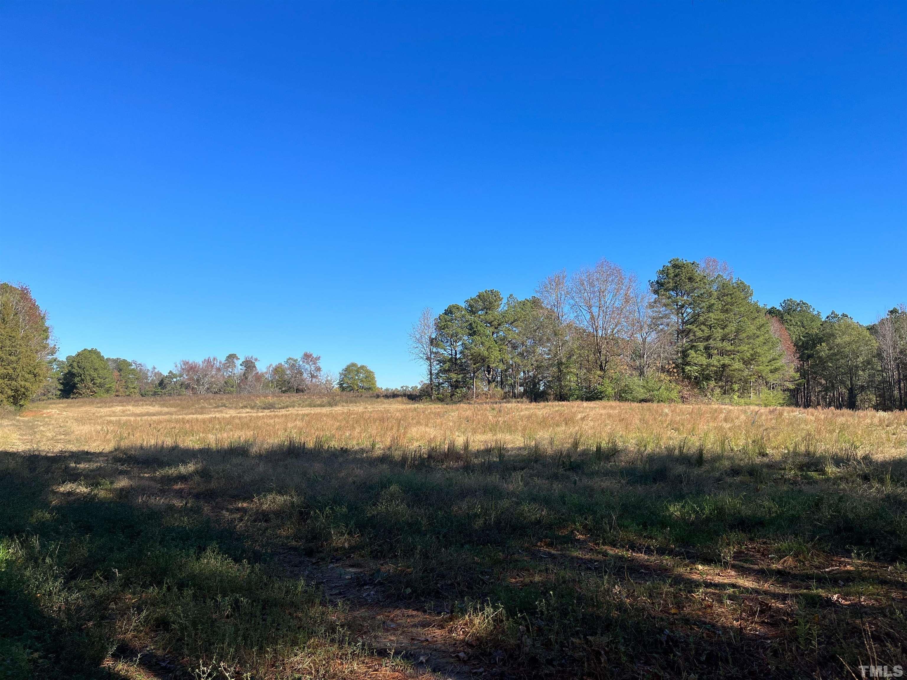 0 Earpsboro Chamblee Road Zebulon, NC 27597 - Photo 4 of 5 Gallery Image 4