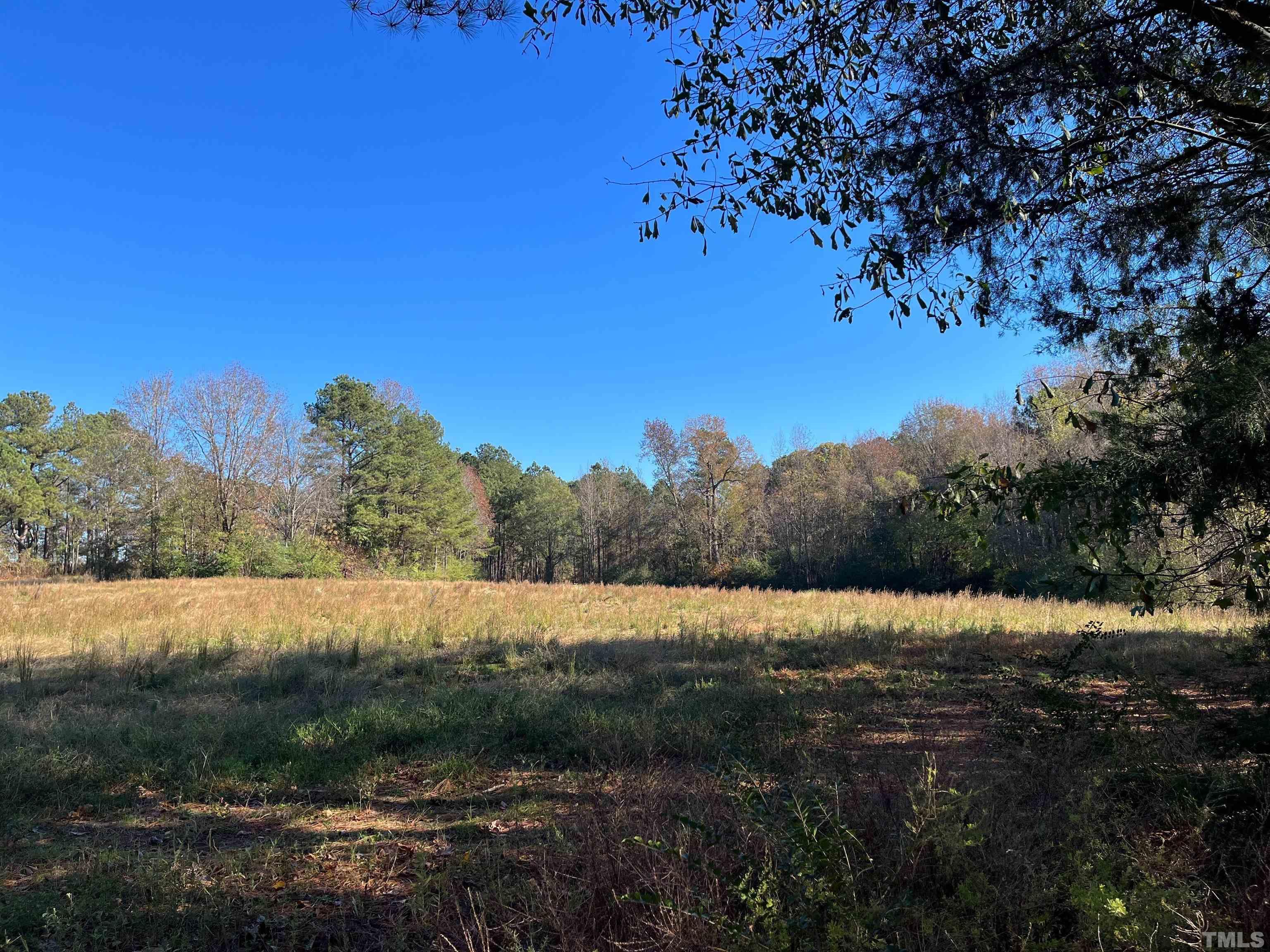 0 Earpsboro Chamblee Road Zebulon, NC 27597 - Photo 5 of 5 Gallery Image 5