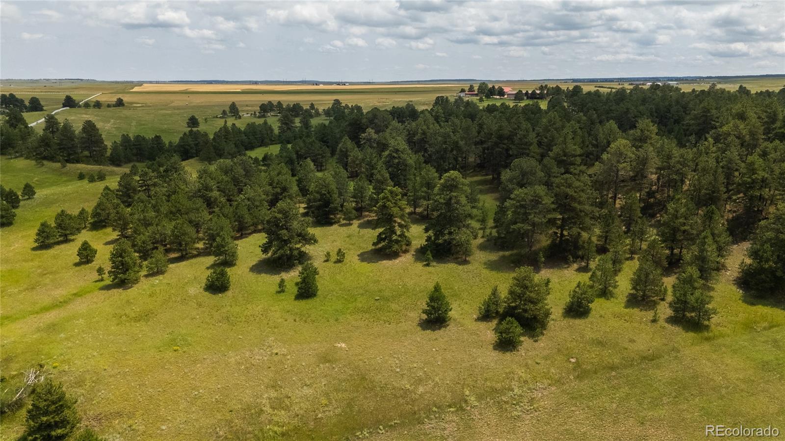 11771 East Smith Road Elbert, CO 80106 - Photo 32 of 33 Gallery Image 32