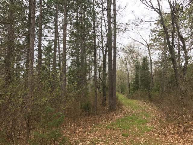 124-ac River Road Manitowish Waters, WI 54545 - Photo 8 of 20 Gallery Image 8