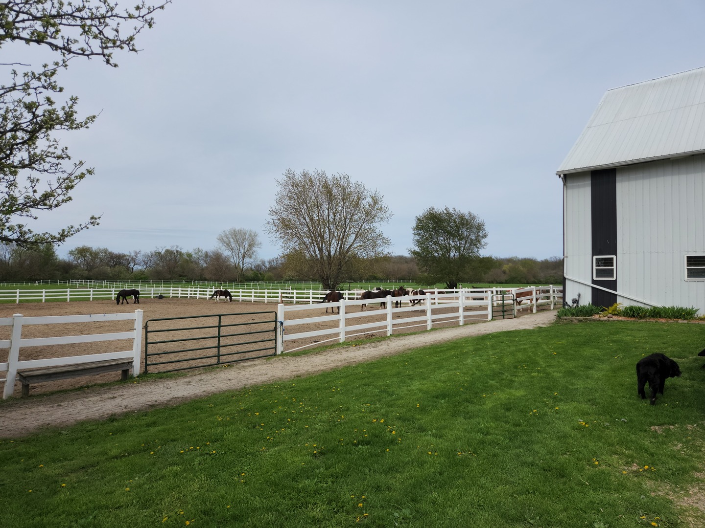 32443 Wilton Road Manteno, IL 60950 - Photo 25 of 48 a view of outdoor space and yard