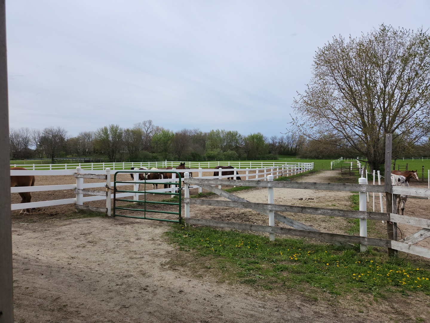 32443 Wilton Road Manteno, IL 60950 - Photo 41 of 48 a view of outdoor space with water and green space