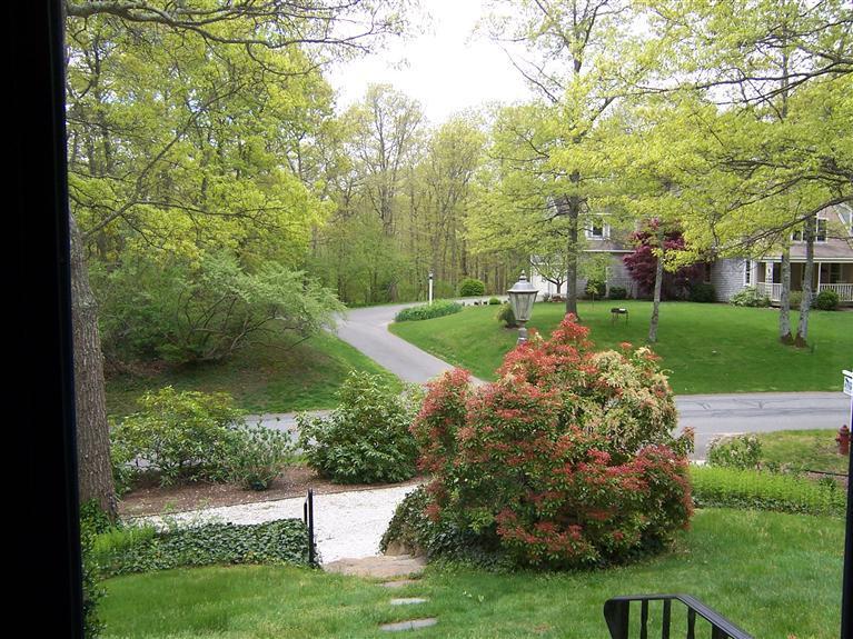 47 Chipman Road Sandwich, MA 02563 - Photo 29 of 31 a view of a garden with large trees