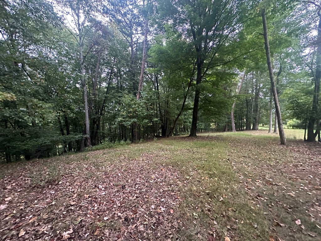 24752 Walden Road, Unit 4 Abingdon, VA 24210 - Photo 13 of 45 Gallery Image 13
