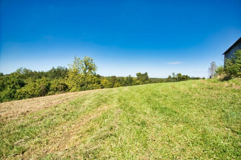 1080 Cole Road Winchester, KY 40391 - Photo 17 of 81 Photo 17