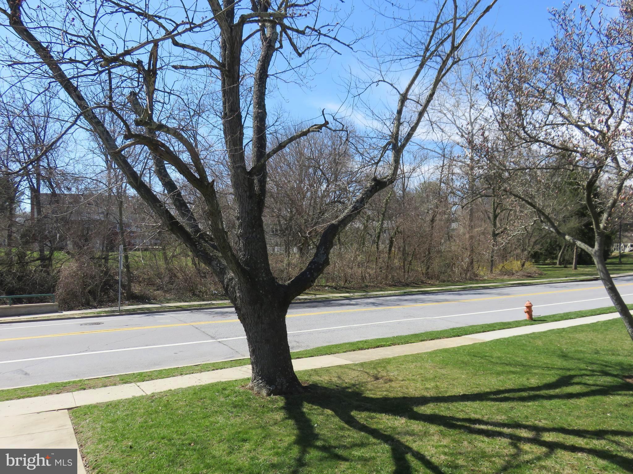 8219 Thornton Road Towson, MD 21204 - Photo 30 of 30 VIEW FROM YOUR FRONT DOOR