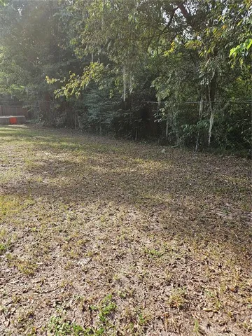a view of a backyard with plants and large tree