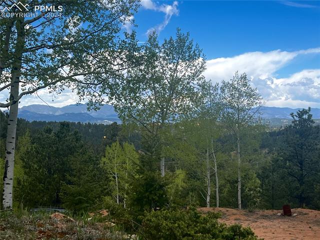 106 Agate Road Florissant, CO 80816 - Photo 38 of 41