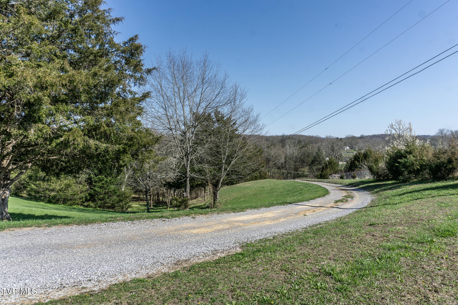 710 Ottway Road Greeneville, TN 37745 - Photo 35 of 56 710OttwayG_039