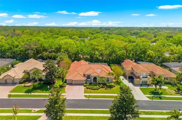 $1,450,000 | 1560 Canopy Oaks Boulevard, Palm Harbor, FL 34683
