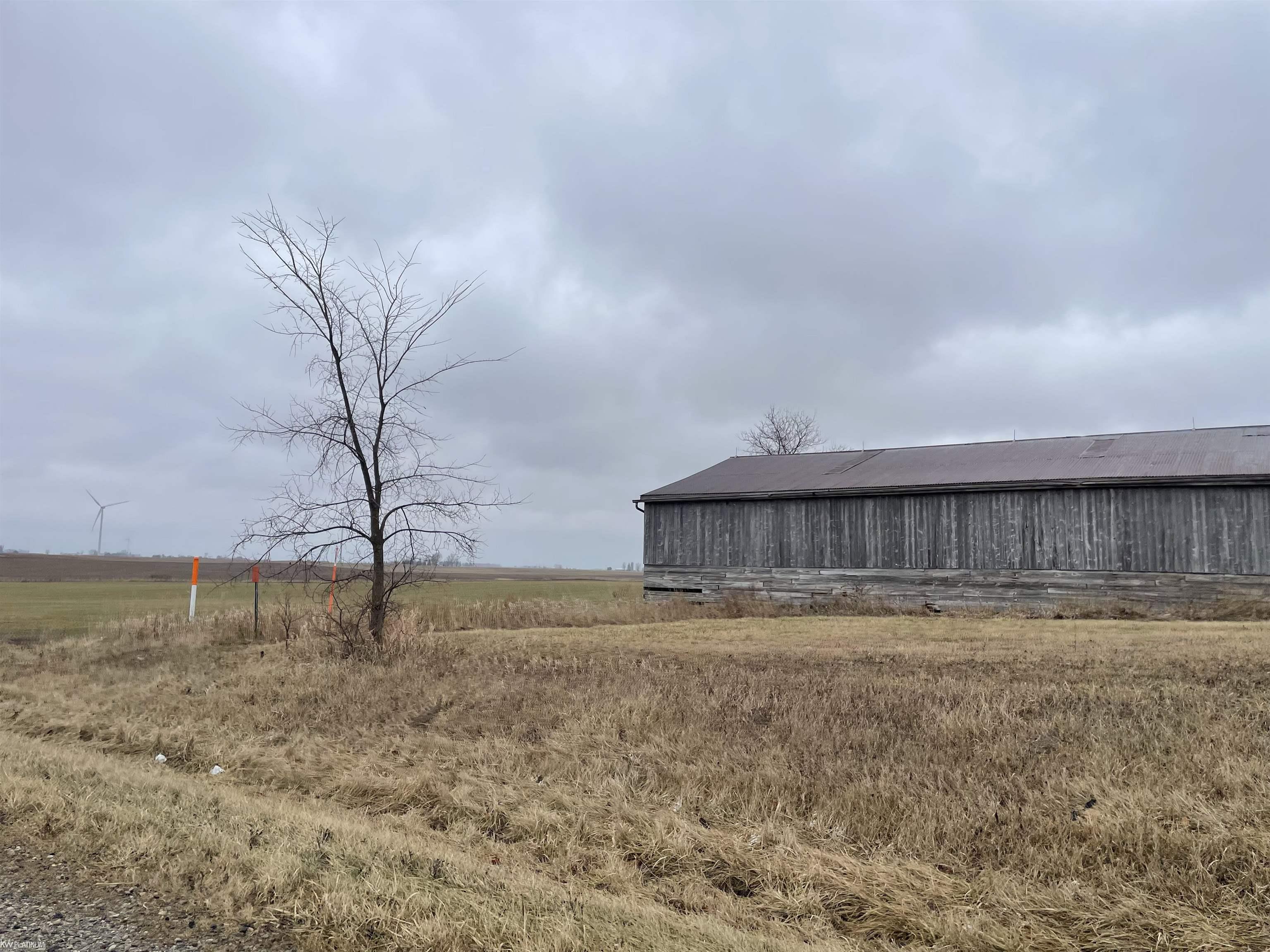 4652 North Ruth Road Deckerville, MI 48427 - Photo 6 of 9 50100505-5.JPG