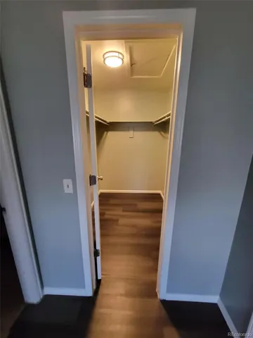 view of walk in closet with wooden floor