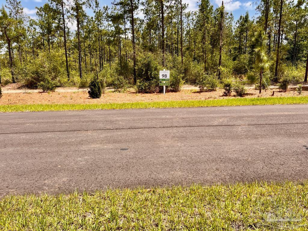Lot 98 Turning Leaf Road Milton, FL 32571 - Photo 7 of 45 Gallery Image 7