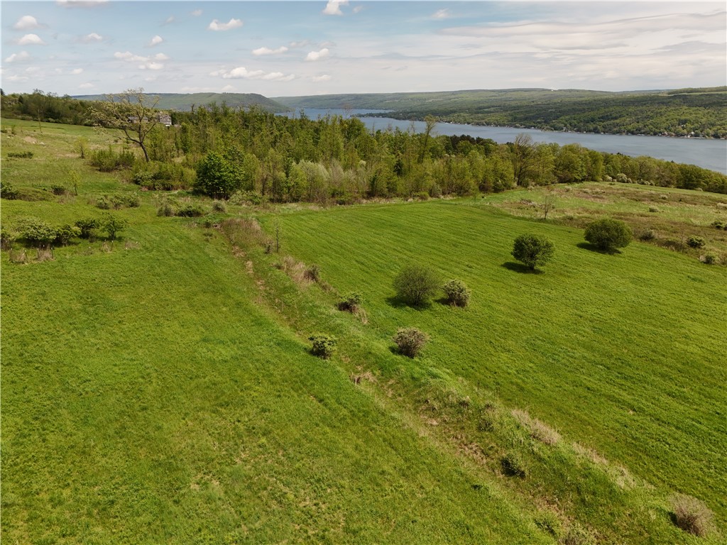 0 Middle Road Hammondsport, NY 14840 - Photo 8 of 20