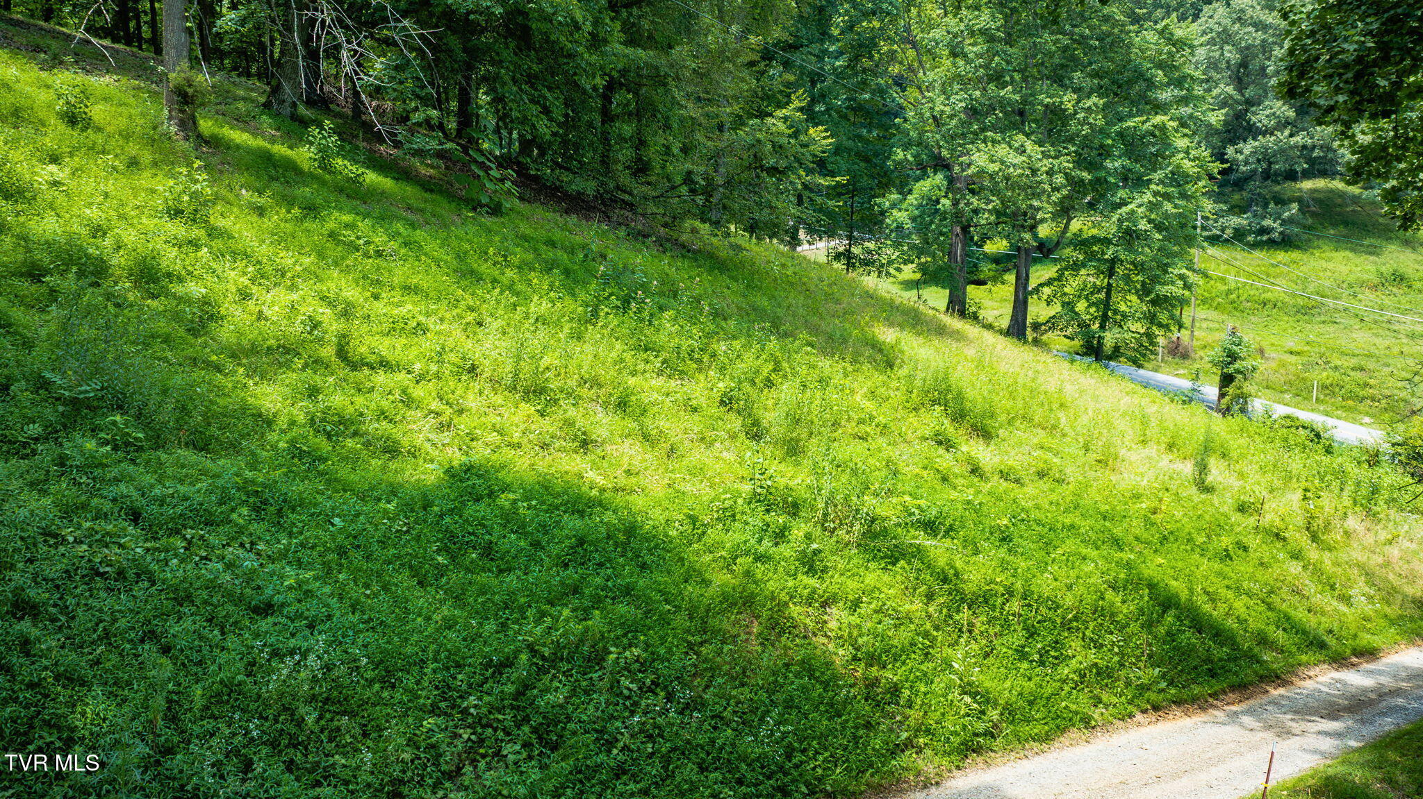 120 Wheelock Road Jonesborough, TN 37659 - Photo 19 of 20 019