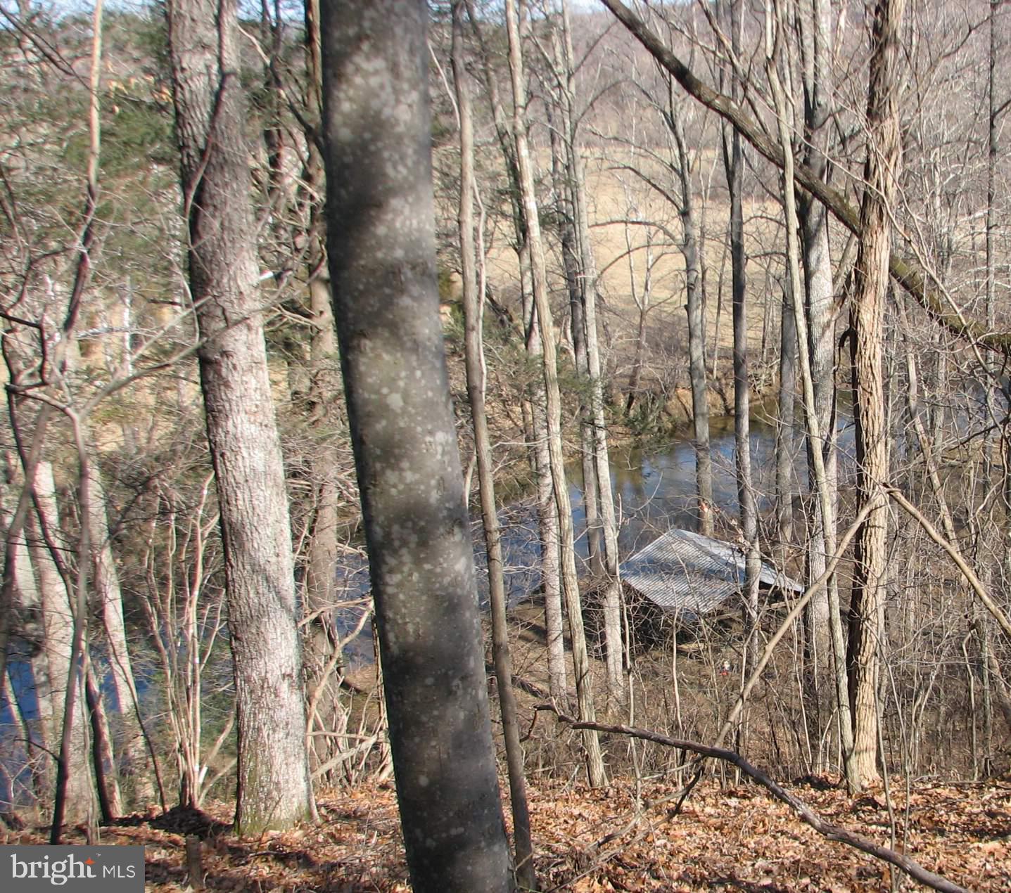 0 Pine Circle Amissville, VA 20106 - Photo 2 of 9 Looking upstream
