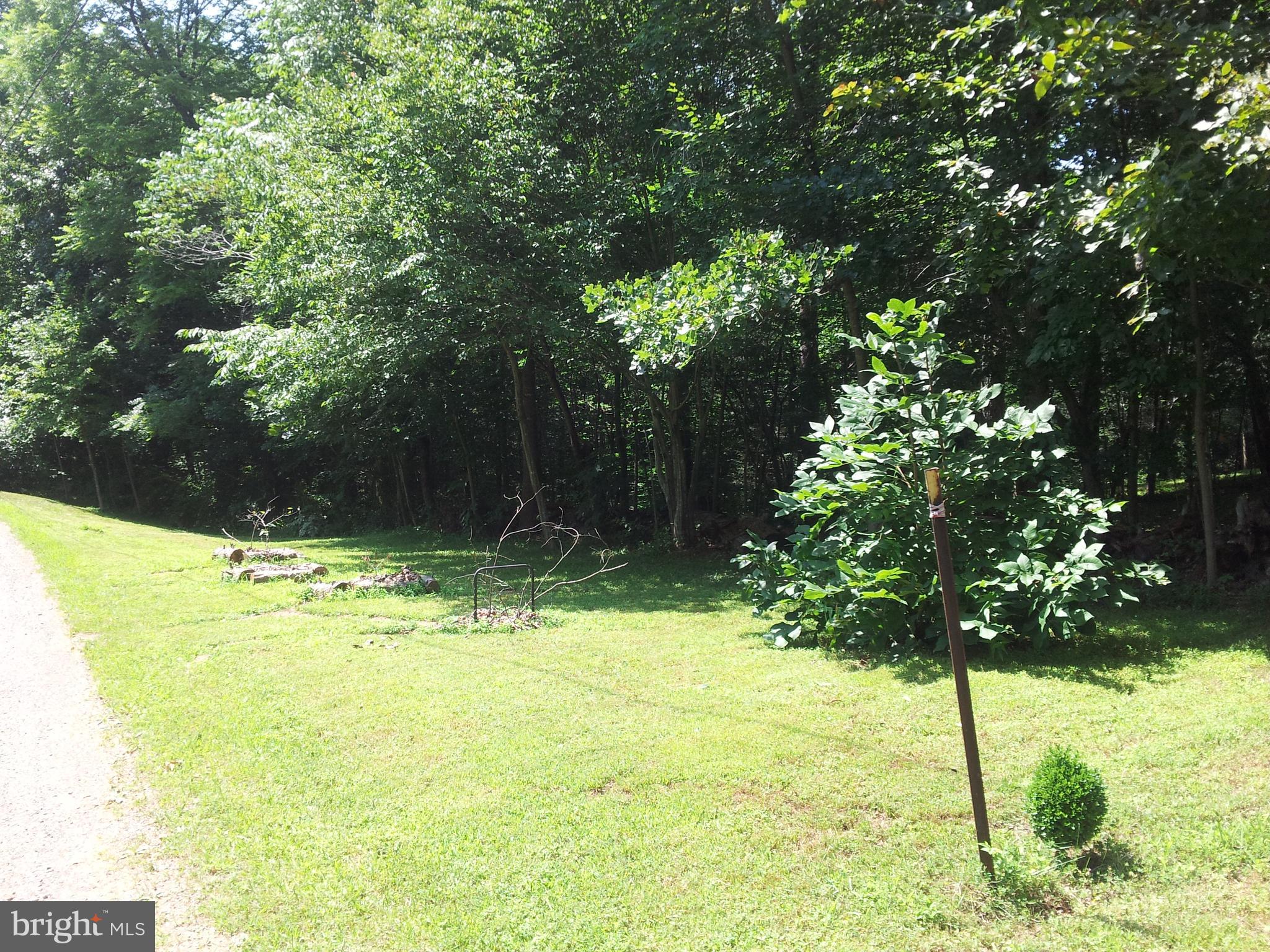 0 Pine Circle Amissville, VA 20106 - Photo 4 of 9 Portion road frontage