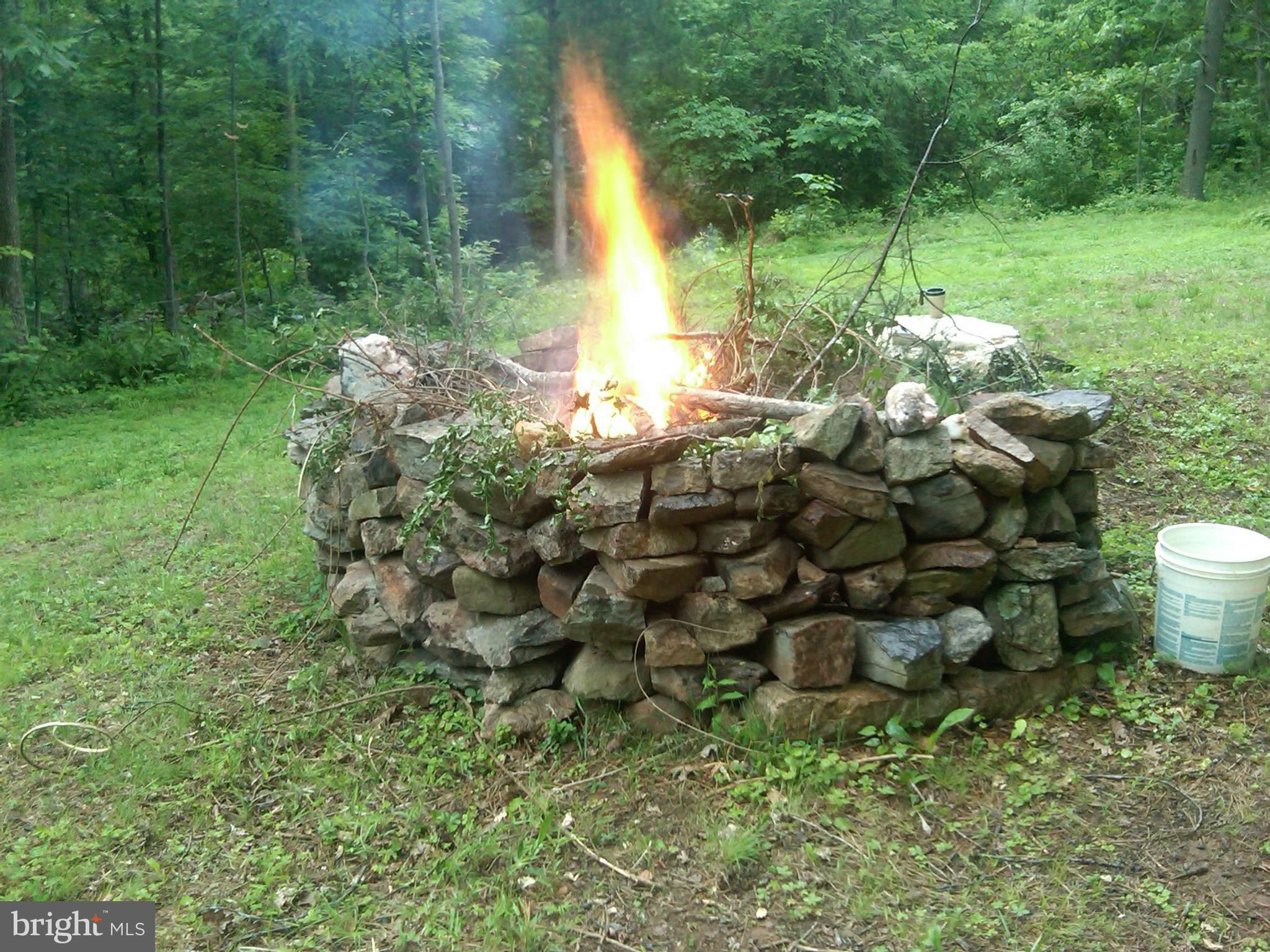 0 Pine Circle Amissville, VA 20106 - Photo 7 of 9 Burnpit