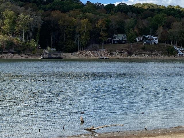 1929 Hardin Bottom River Road Clifton, TN 38425 - Photo 1 of 18 a view of outdoor space and yard
