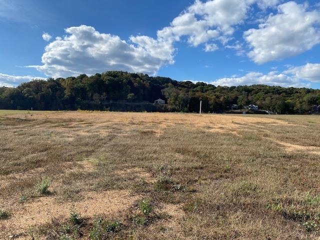 1929 Hardin Bottom River Road Clifton, TN 38425 - Photo 13 of 18 a view of an ocean