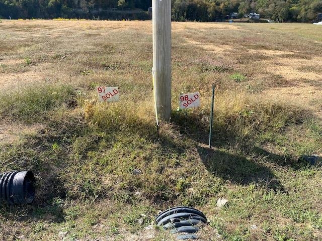 1929 Hardin Bottom River Road Clifton, TN 38425 - Photo 14 of 18 a view of a yard with plants