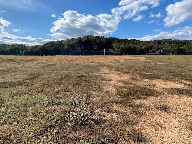 1929 Hardin Bottom River Road Clifton, TN 38425 - Photo 15 of 18 a view of outside with green space