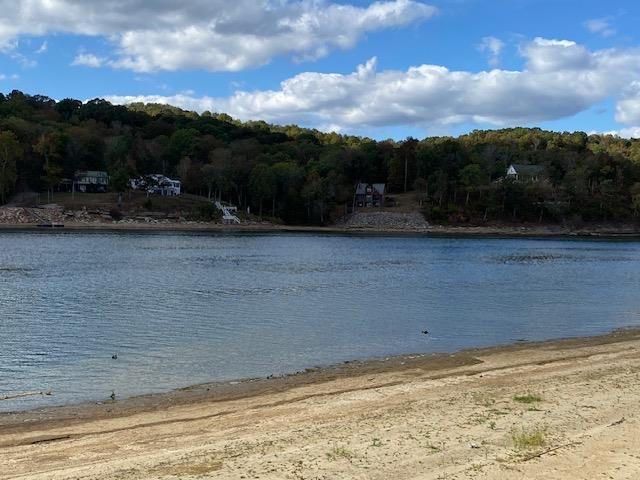 1929 Hardin Bottom River Road Clifton, TN 38425 - Photo 4 of 18 a view of a lake view